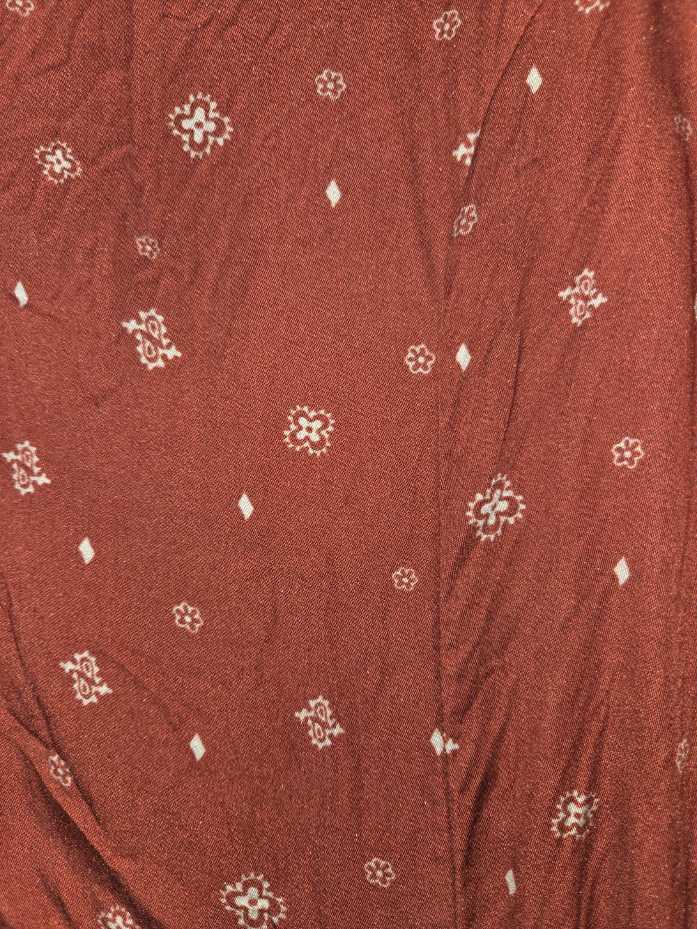 Idyllwind Rust Red Button-Front Mini Dress with Subtle Print - Picture 3 of 4